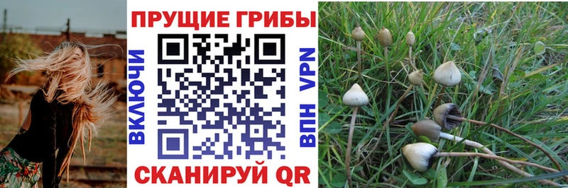 Галлюциногенные грибы мухоморы  Курган 